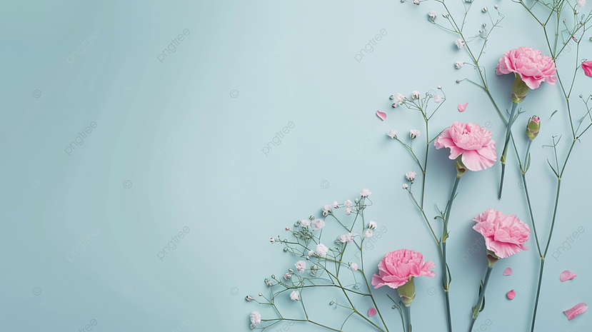 梵卉花艺